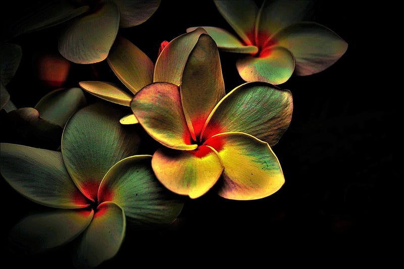 Loving-Kindness Meditation